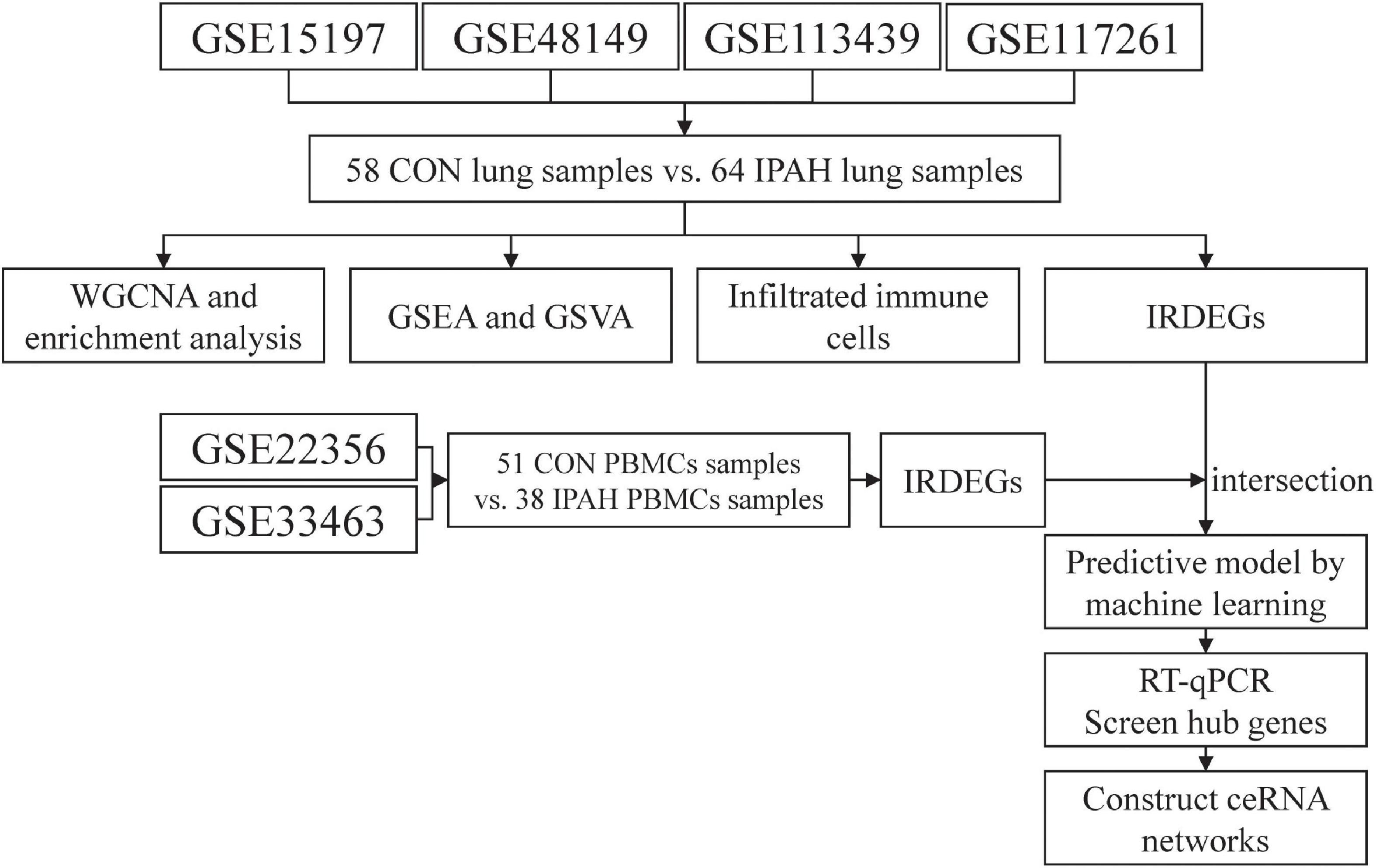 Identification of immune-related hub genes and analysis of infiltrated immune cells of idiopathic pulmonary artery hypertension